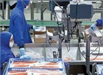 Fish Packing Centre